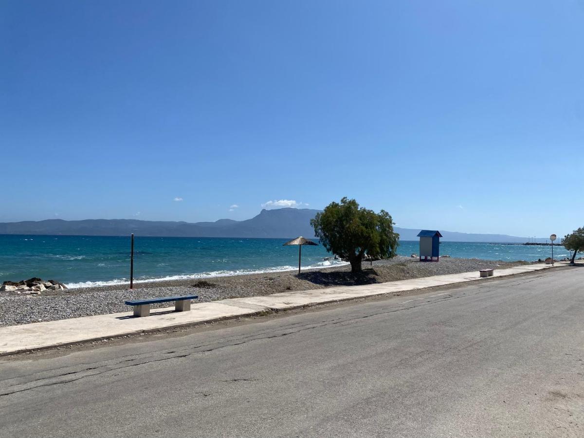 Alexia'S Beach House Káto Ássos Dış mekan fotoğraf